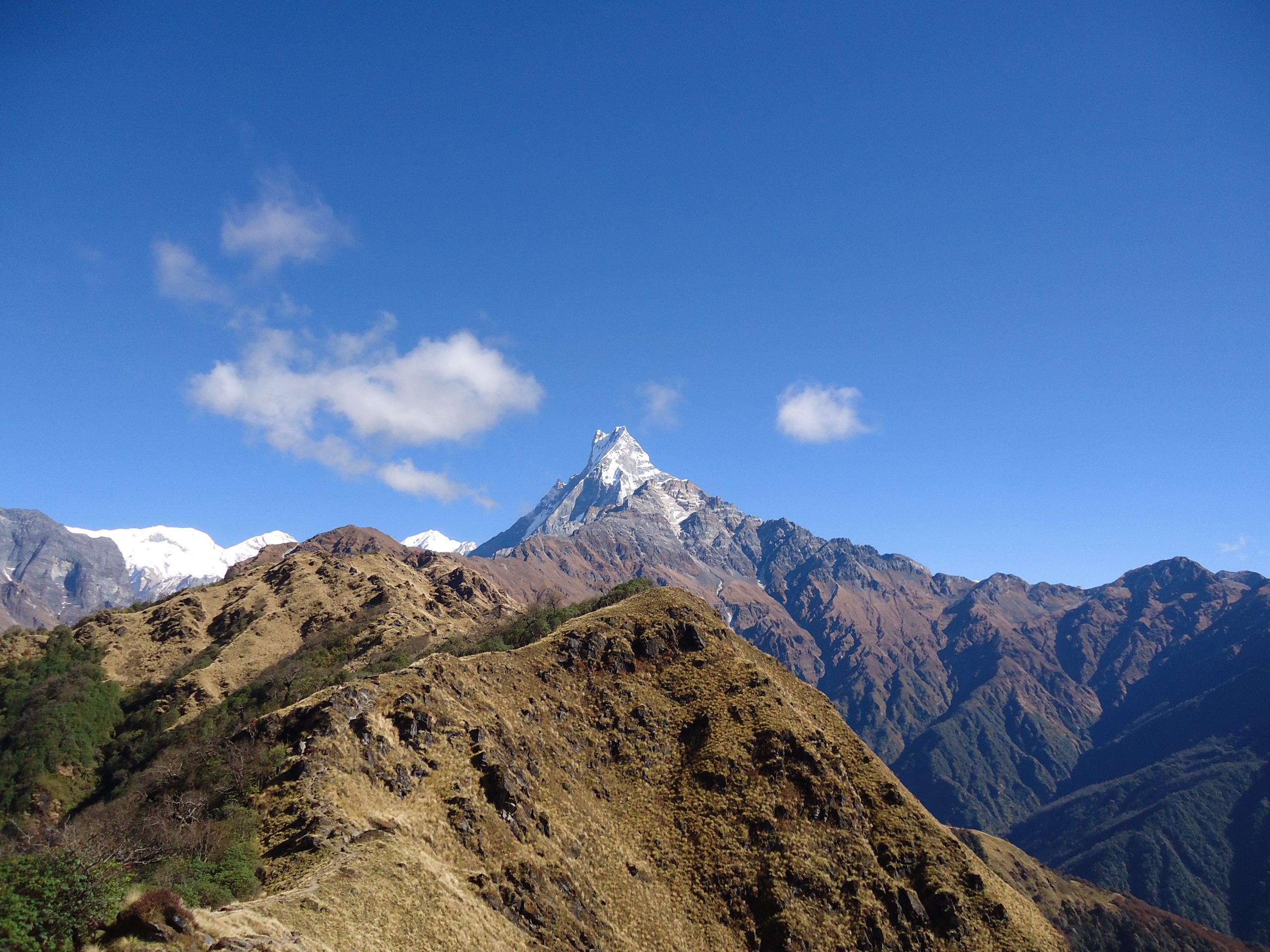 Mardi Himal Trek